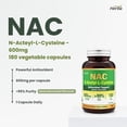 thumbnail image 3 of Herba Supplément de NAC 600 Mg – 180 Capsules Végétales / N-Acétyl-L-Cystéine / Fabriqué au Canada, 3 of 9