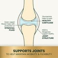 thumbnail image 3 of VetriScience Ultimate Strength Healthy Hip & Joint Care Supplement Chew for SM Dog, Duck, 60 Ct Bag, 3 of 15