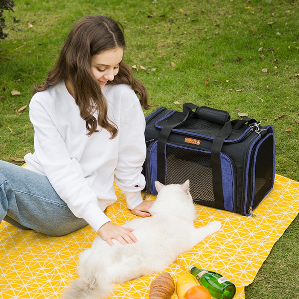 FOOING Pet Carrier Airline Approved, Small Pet Carriers Soft Sided Carry Bag Small Cats / Dogs