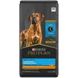 Large breed dog food walmart 2025