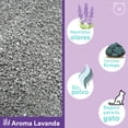 thumbnail image 3 of dognut - Arena para Gato (19.8 kg), Aglutinante, con Aroma Lavanda, Control de olores, 3 of 6