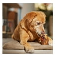 thumbnail image 2 of Long Lasting 4.5" Femur Dog Bone Slow Roasted Beef Center Cut Meaty Nutritious (5 Bones), 2 of 7