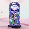 thumbnail image 5 of Christmas Rose Flower Gifts for Her, Galaxy Glass Roses, Light up Artificial Flower in Glass Dome, Xmas Gifts Is for Women Mom Her Wife Grandma Sister, Mothers Day,Christmas,Anniversary, 5 of 9