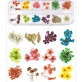 thumbnail image 5 of Naturaleza Muerta Decoración De Uñas Flores Hojas Para Uñas, 5 of 5