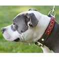thumbnail image 2 of High Quality Genuine Leather Braided Studded Dog Collar,Red on Black 1.25" Wide. Fits 16"-20.5" Neck., 2 of 3