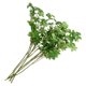 thumbnail image 4 of 6 piezas de material para ramo de bricolaje, rama de hojas verdes, exquisita decoración de plantas artificiales, 4 of 7