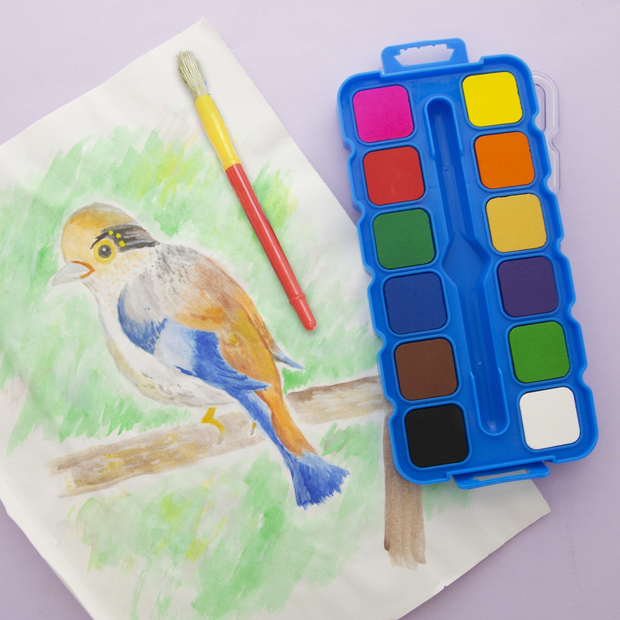 BAZIC Watercolor w/ Brush & Mixing Palette, 12 Color Non-Toxic, 24-Pack