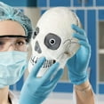 thumbnail image 6 of GIANTmicrobes Skull Plush- Adorably Realistic Plush Human Skull Educational Biology Gift Excellent Gift for Students, Doctors, Nurses, Teachers, Scientists, and Any Lover of Heads and Bones, 6 of 7