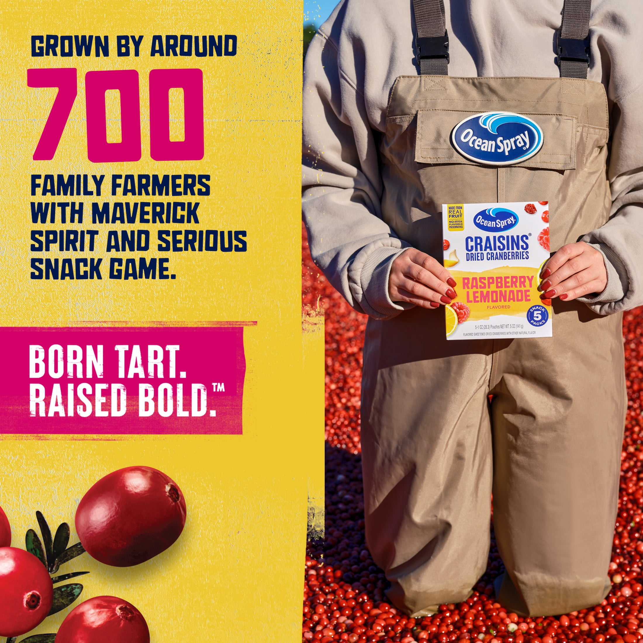 Ocean Spray®  Raspberry Lemonade Flavored Craisins® Dried Cranberries, 5‑Count Single‑Serve 1 oz Snack Packs