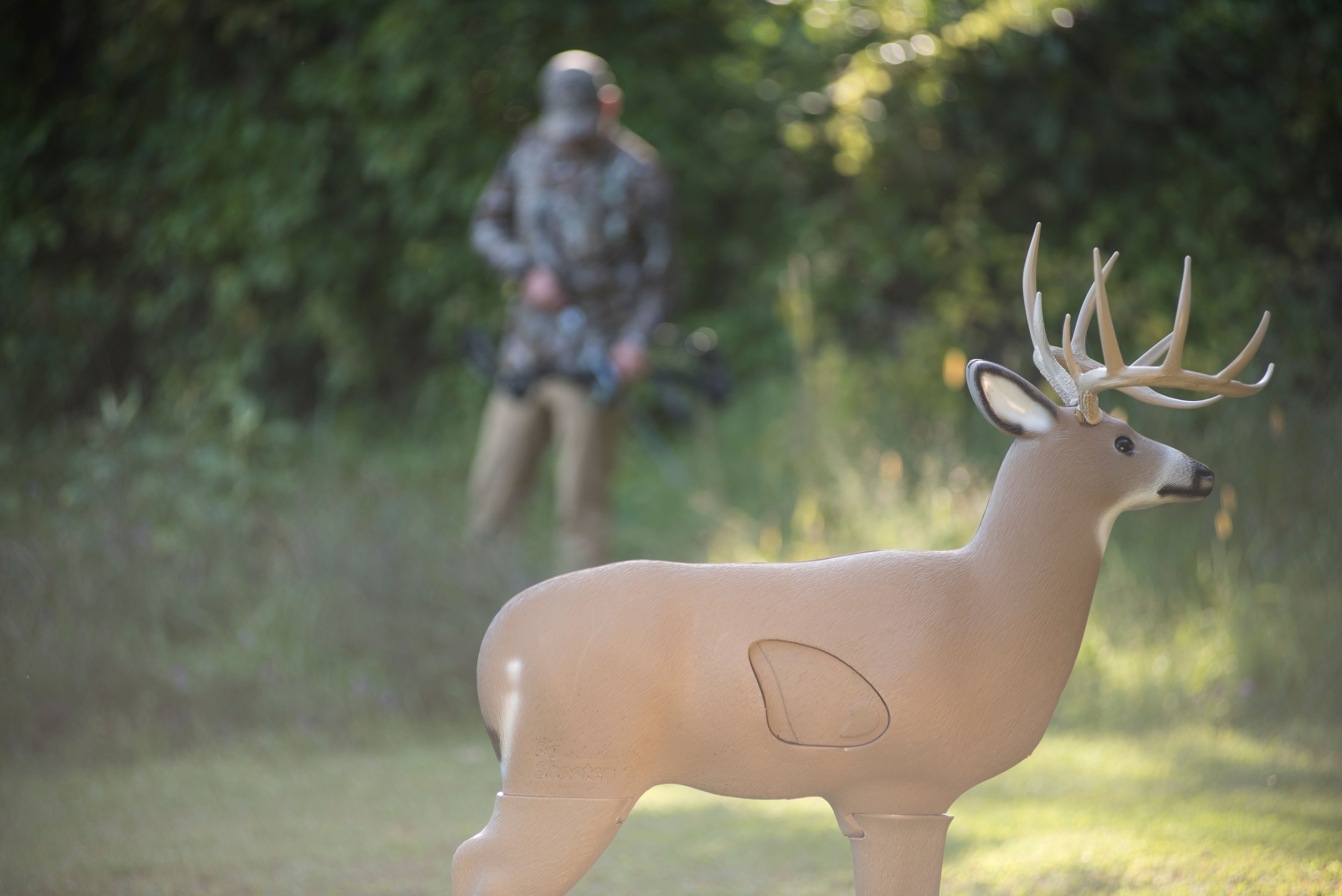 Shooter Buck 3D Deer Archery Target