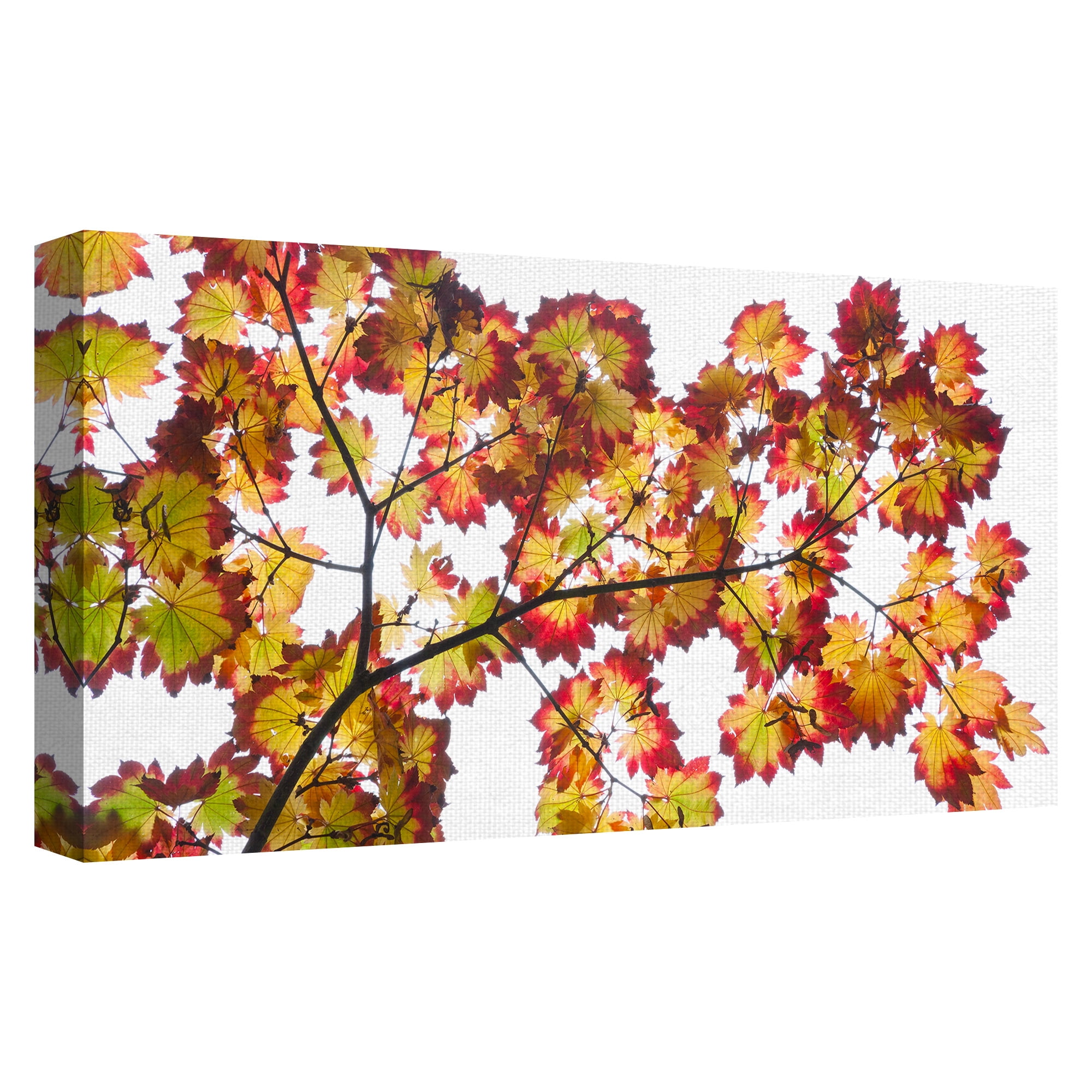 Masterpiece Art Gallery Leaf Silhouettes IV Autumn Tree Branch By Robin Constable Hanson Canvas Art Print 17" x 34"
