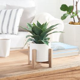 Better Homes & Gardens 10" Artificial Agave Plant in White Ceramic Pot with Wood Stand - image 3 of 7