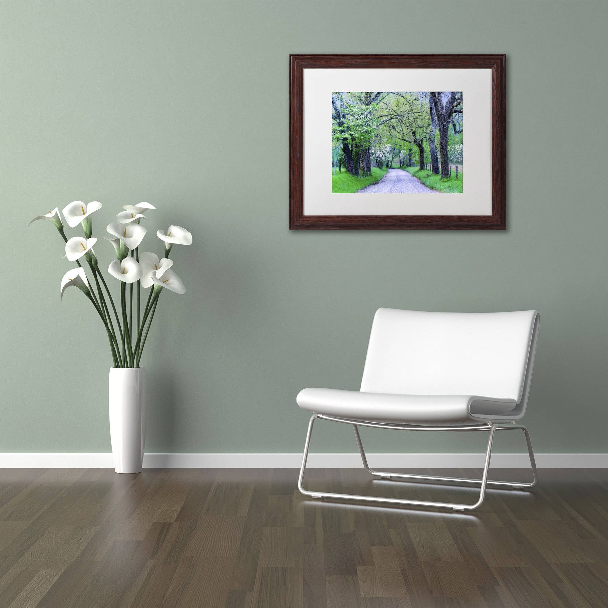 Trademark Fine Art "Cades Cove Lane" Canvas Art by Michael Blanchette Photography White Matte, Wood Frame