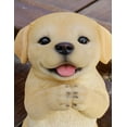 thumbnail image 2 of YELLOW LABRADOR PUPPY PRAYING, 2 of 4
