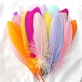 thumbnail image 2 of 450 Pcs Colorful Feathers Crafts for DIY Craft,Jewelry Making, Wedding Home Party Decorations(Random Color), 2 of 6