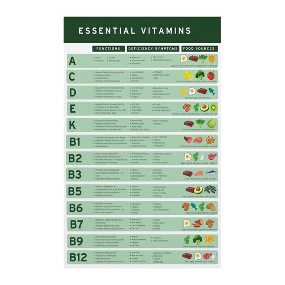 Daily Nutrients Food Chart Complete Nutrition Guide Healthy Eating Reference Wall Art Kitchen Office Decor Visual Aid