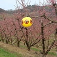 thumbnail image 5 of Ballon Effaroucheur d'Oiseaux X2, 5 of 5