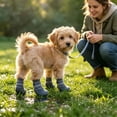 thumbnail image 5 of CSStudio 4 Pack Non Slip Dog Socks with Adjustable Straps, Waterproof Rubber Bottom Pet Paw Protector Booties, Anti Licking Traction Shoes for Indoor Floor & Light Outdoor Walks, 5 of 5