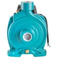 thumbnail image 3 of Bomba Centrífuga de Hierro Fundido IUSA 2 HP Azul, 3 of 5