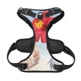 thumbnail image 5 of Lsque Pikmin Dog Harness, No-Pull Pet Harness with 2 Leash Clips, Adjustable Soft Padded Dog Vest with Easy Control Handle for Large Dogs-, 5 of 9