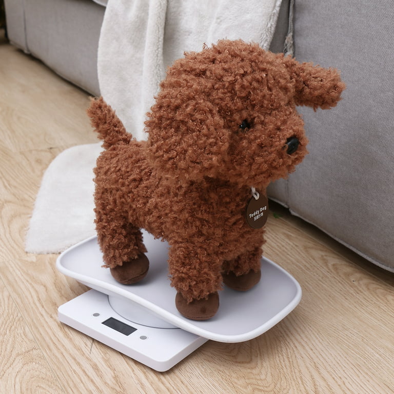 Scale Dog Pet Puppy Dogs Weight Body Scales Cat Tool Puppies Measure Postal  Digital Weighbridge Pets Supplies 