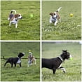 thumbnail image 2 of Juguetes de Cuerda Youngever para Perro Mediano a Grande Paquete de 4, 2 of 5