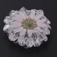 thumbnail image 2 of 2 Botones de Flores Secas de Cristal para Manualidades de Costura de Ropa de álbum de Recortes de Bricolaje Baoblaze Flores de cristal para manualidades, 2 of 8