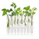 thumbnail image 2 of 6Pcs Hinged Flower Vase Clear Glass Test Tube Hanging Flower Holder for Home Decor, S, 2 of 5