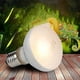 thumbnail image 4 of 2 Pack Reptile Uvb Uva Heat Lamp Bulb For Truly -Like Bright Heat For , Amphibian And Birds (100 W, 4 of 5
