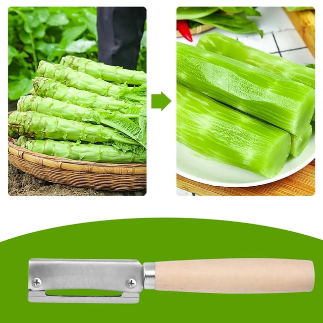 TIMIFIS Éplucheur Couteau à Éplucher en Acier Inoxydable pour Laitue Spécial Cuisine Couteau Multifonctionnel Outil de Raclage Canne à Sucre Pomme de Terre Raboteuse Appareils de Cuisine