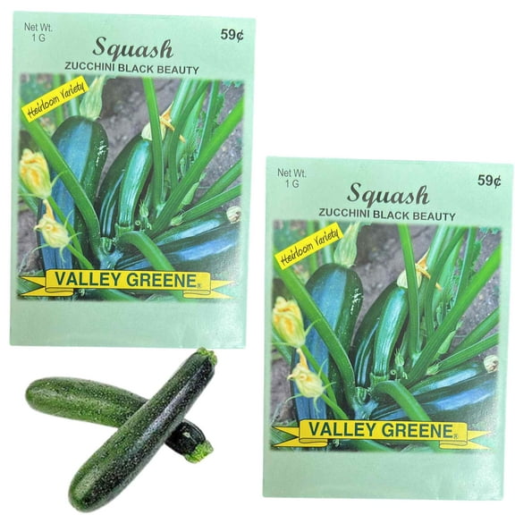 Valley Greene 1g Squash Zucchini Black Beauty Seeds : 2CT