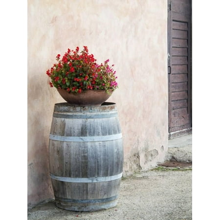 - Europe, Italy, Tuscany. Flower Pot on Old Wine Barrel at Winery Print Wall Art By Julie Eggers