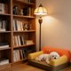 thumbnail image 1 of Sofá cama para gatos, cama para perros, muebles de invierno multifuncionales ligeros para jugar y descansar para gatos de interior, sofá perezoso para 50cm x 40cm x 4cm, 1 of 10