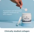 thumbnail image 4 of Suplemento Ancient Nutrition Creatina + Colágeno 165 g, 4 of 5