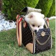 thumbnail image 2 of Transportín De Lujo Para Mascotas, Transportador Para Cachorros Y Perros Pequeños,Bolso De Mano De Cuero Sintético Premium Impermeable Para Viajes Al Aire Libre, Caminatas, Senderismo, Compras, 2 of 5
