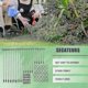 thumbnail image 3 of 60pcs Plant Supports Set - 20 Pack Flower Plant Stakes Sticks (3 Sizes), 20 Plant Support Clips And-yyc, 3 of 5