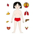 thumbnail image 5 of Wooden Puzzle Reusable Smooth Surface Bright Color Human Anatomy Jigsaw Early Education Toys for Daily Entertainment, 5 of 7