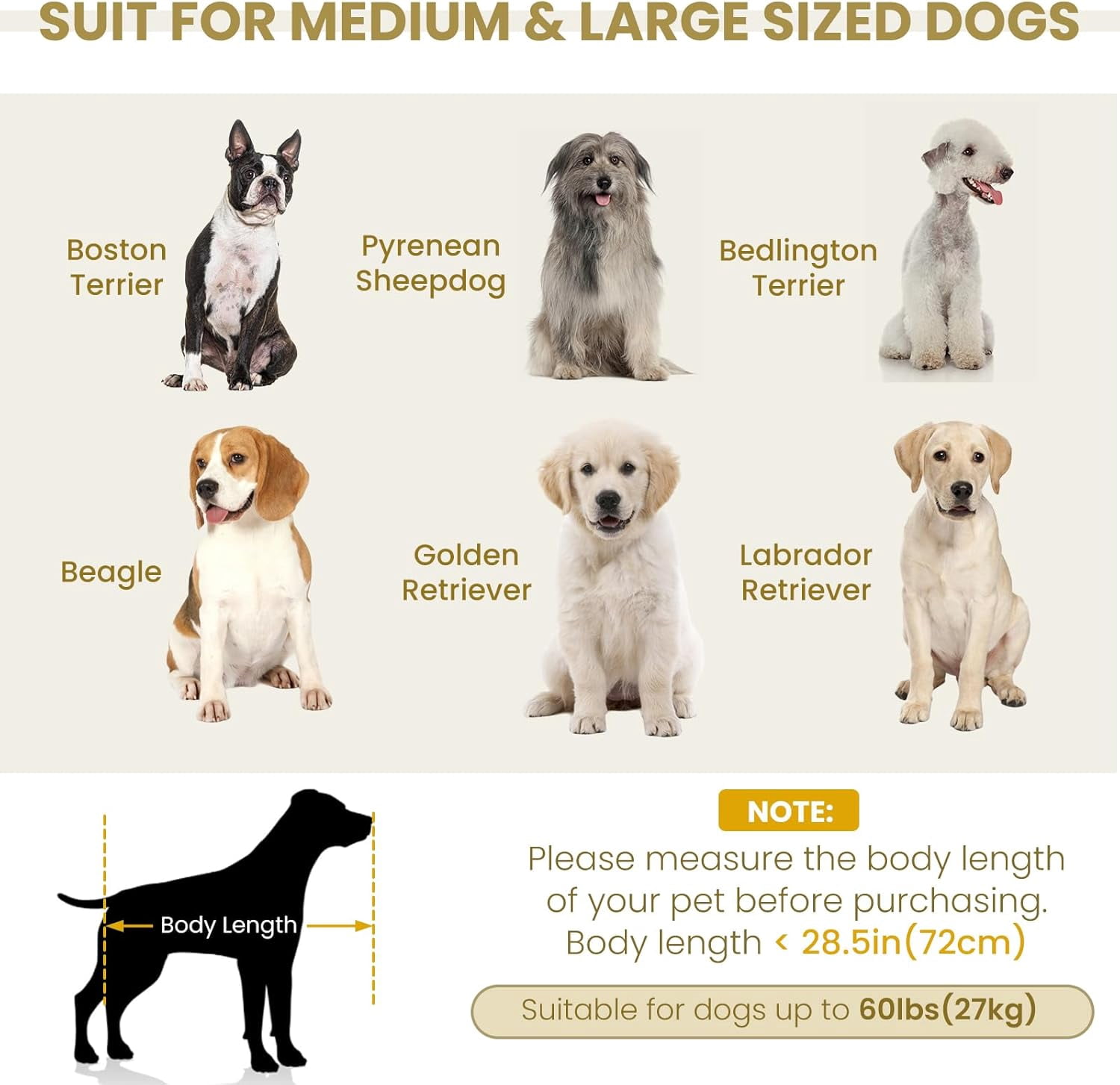 38" Dog Sofa Bed, Elevated Dog Bed with Backrest and Armrests, Soft Memory Foam Couches for Small and Medium-Sized Pets, Durable Linen Pet Couch Furniture, Beige