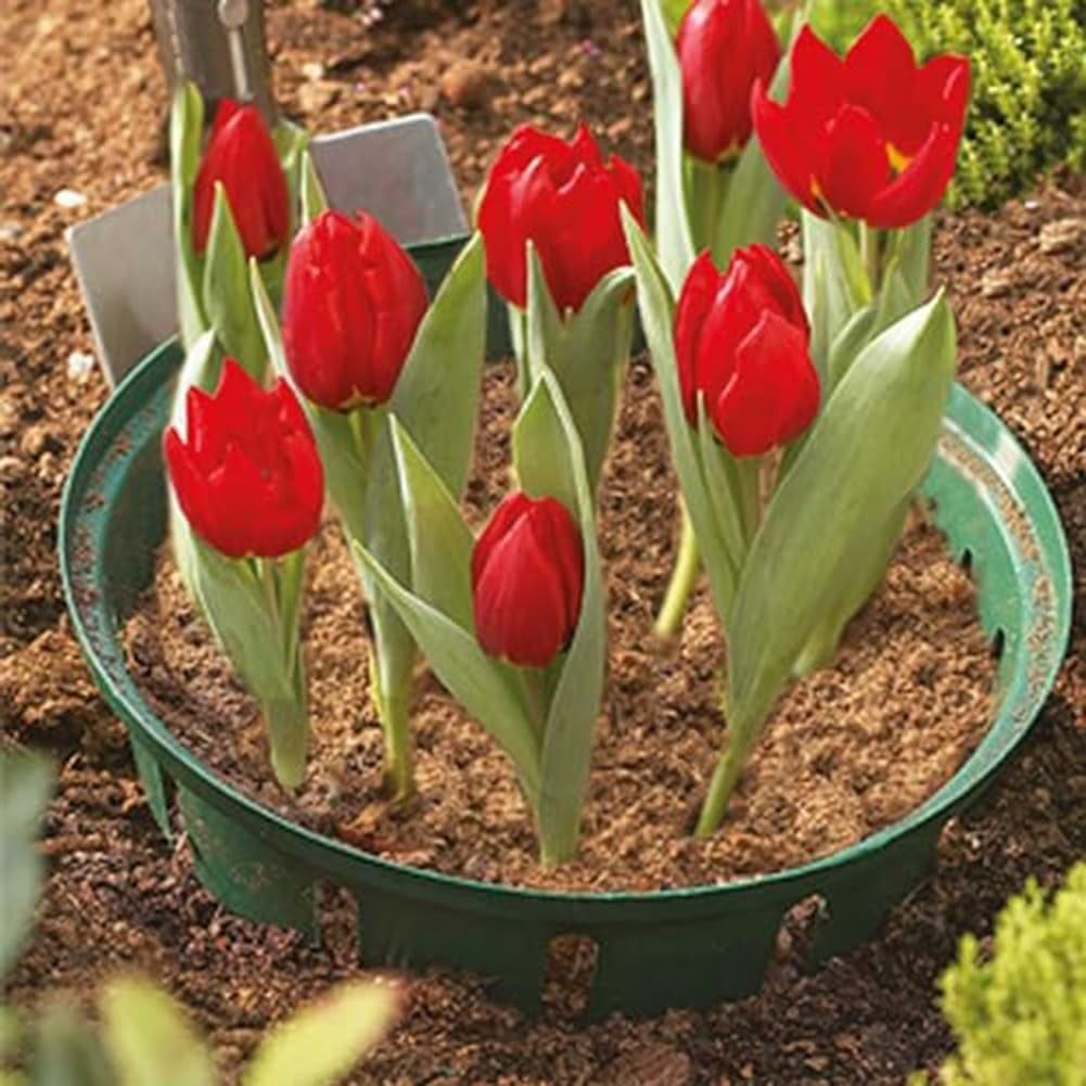 ABPETE 6-Pack Lightweight Flower Pot Baskets - Durable & Stylish Planters for Indoor/Outdoor Gardening, Home Decor & All Planting Needs