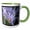 Green/White, variant on 3drose, Purple English Aster Flowers, 11oz Magic Transforming Mug