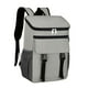thumbnail image 1 of Mochila térmica Schwylth con aislamiento para 30 latas, color gris, 1 of 7