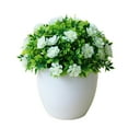 thumbnail image 2 of SPRING PARK Artificial Flower Bonsai Grass Ball Potted Plant Home Room Wedding Decor, 2 of 7