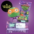 Teenage Mutant Ninja Turtles Lollipop Rings, 18 Count Birthday Party ...