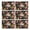 Pioneer Flower Floral-3, variant on Pioneer Flower Floral Print Pattern Summer Placemats Table Placemats Set Of 6-Linen Kitchen Washable Placemats Table Mats 12x18 Inch Non-Slip Heat Resistant