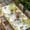 Yellow Grey, variant on Spring Sunflowers Table Cloths for 4 Foot Rectangle Tables, Eucalyptus Leaves Flowers Butterfly Patio Waterproof Elastic Fitted Tablecloths, Washable Rectangular Table Cover for Camping