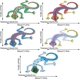 thumbnail image 2 of Paquete de 2 adornos de pared KAIYANG de Gecko con diseño de lagarto color verde, 2 of 5