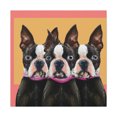 thumbnail image 1 of Boston Terrier Minimalism - Canvas, 1 of 10