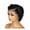 Black, variant on Komiseup Short Curly Human Hair Wigs Pixie Cut Bob Glueless Wigs Front for Black Women with Baby Hair, Pre Plucked