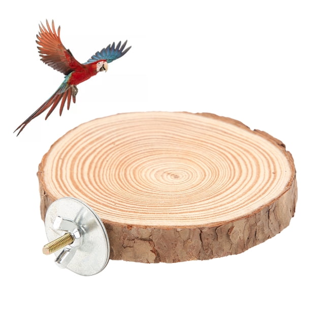 Plateforme Perchoir Ronde pour Oiseaux, Support Rond en Bois Léger et Durable pour Jardin pour Maison