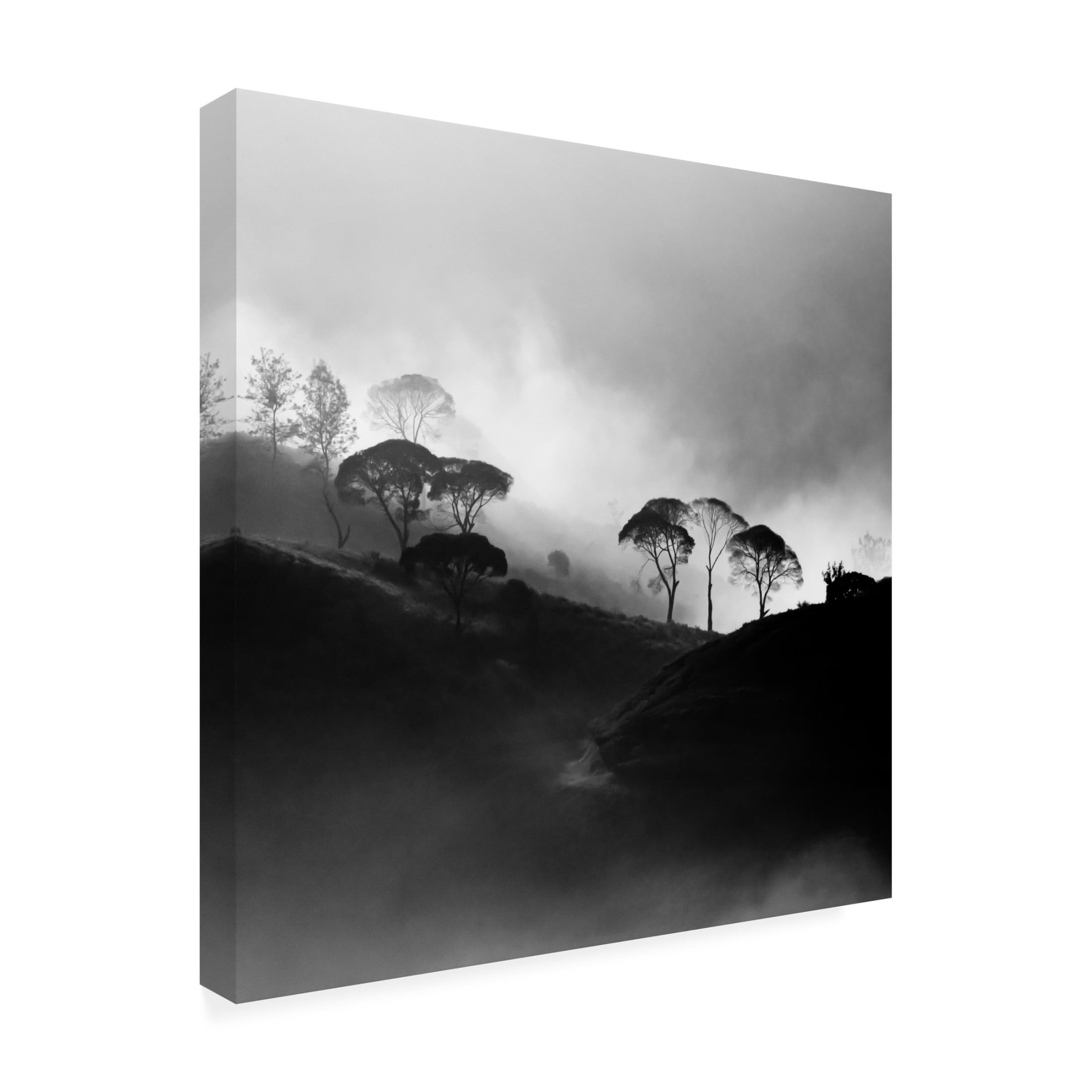 Canvas Wall Art - Gunarto Song 'Nirvana' Wall Art for Living Room, Bedroom, or Office Décor by Trademark Fine Art - 35 x 35 Inches